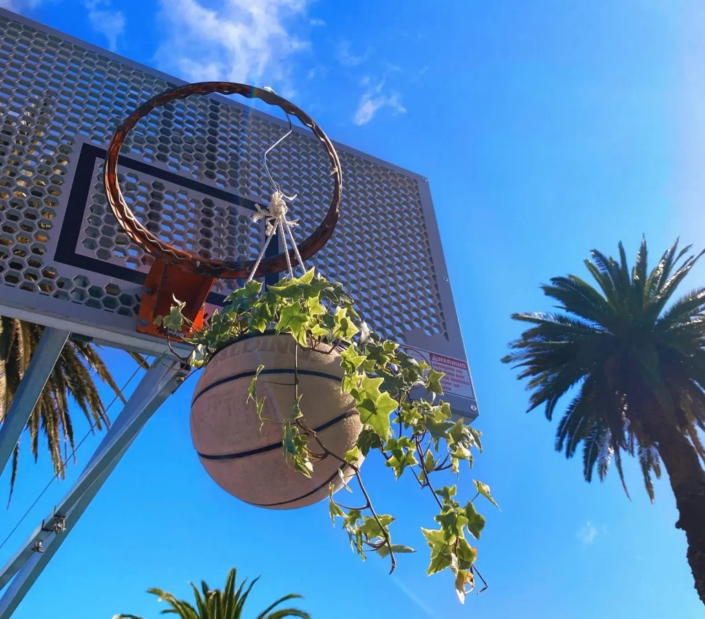 Most Valuable Planters hanging Basketball Planter at outdoor court